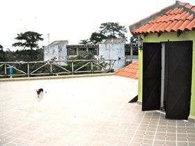 Nicki art surf hostel 2